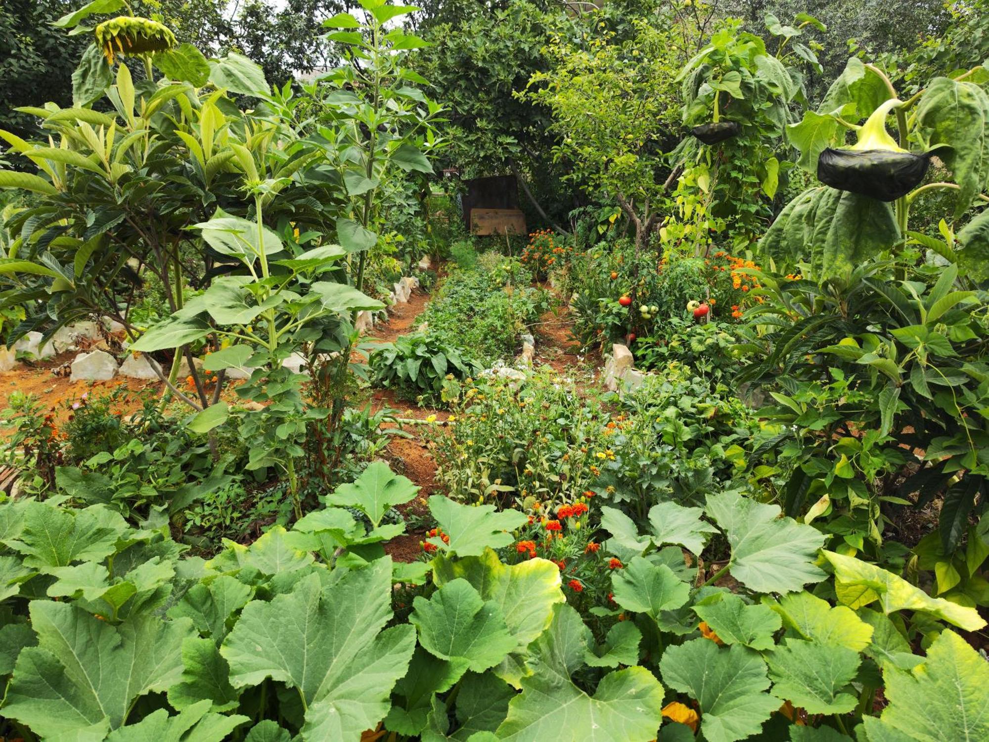 Berdavan Guesthouse Bagian luar foto